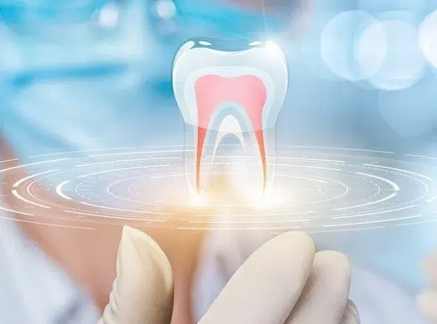 “Besuche deinen Zahnarzt in Biel
